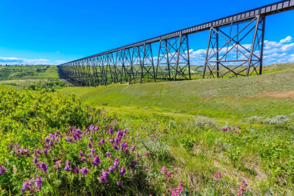 Lethbridge train bridge