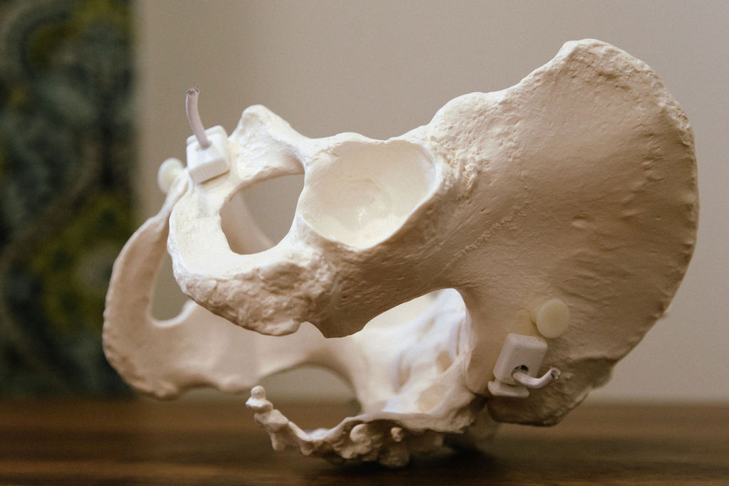 Pelvis model